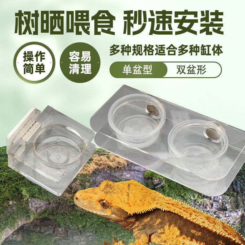 Reptile giant R genus gecko transparent hanging magnetic puree water basin feeder arboreal double basin