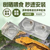 Reptile giant R genus gecko transparent hanging magnetic puree water basin feeder arboreal double basin