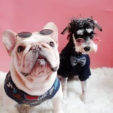 ПЭТ круговые очки собачьи очки фото декоративные очки Fadou Стала Sheronori