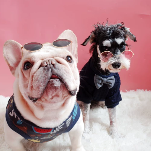 ПЭТ круговые очки собачьи очки фото декоративные очки Fadou Стала Sheronori