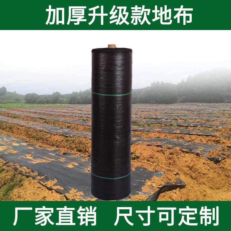 PE防草布除草布农用果园果树遮草盖草布园艺地布大棚透气保湿地膜 - 图0