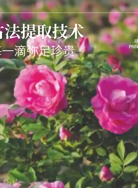 解忧公主玫瑰精油手霜官方旗舰店