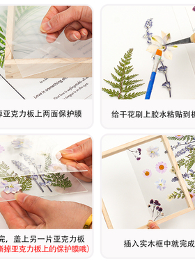 亚克力实木创意潮流压花干花相框
