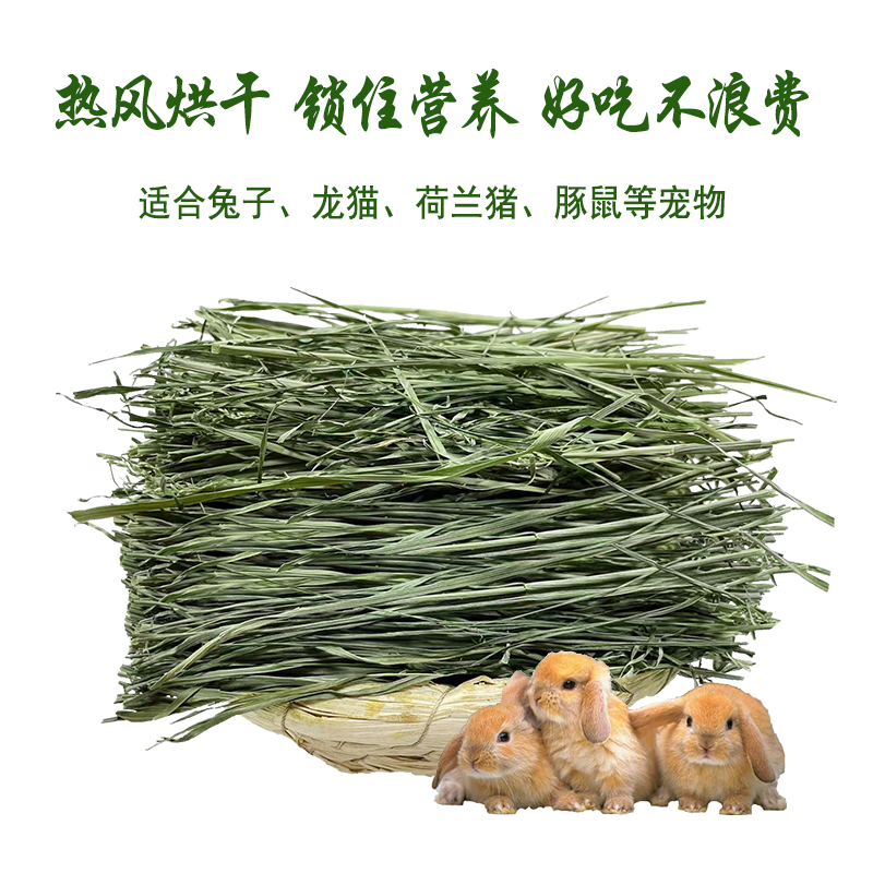 烘干提摩西23头茬兔子草岷县归乡提仓鼠提木西龙猫磨牙荷兰猪干草 - 图1