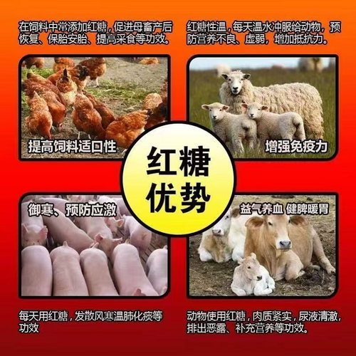 兽用红糖猪牛羊鸡鸭鹅家禽畜牧养殖用抗应激提高免疫力饲料添加剂 - 图0