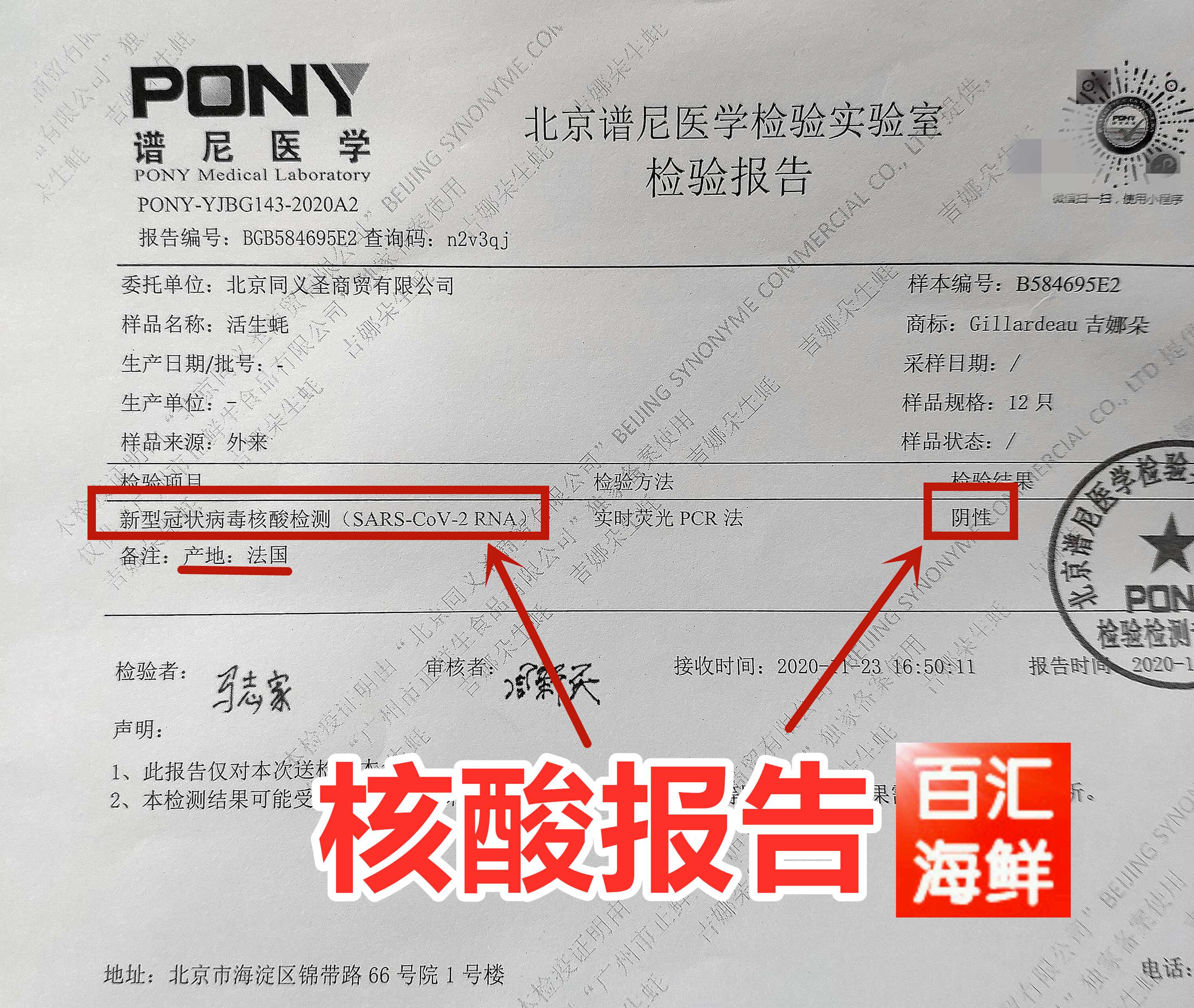 【法国吉拉多生蚝N0/N1/N2】5只起售鲜活刺身牡蛎0号1号2号西餐-图3