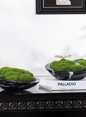 简约现代风客厅电视柜茶几玄关样板房创意大理石微景花盆造景摆件