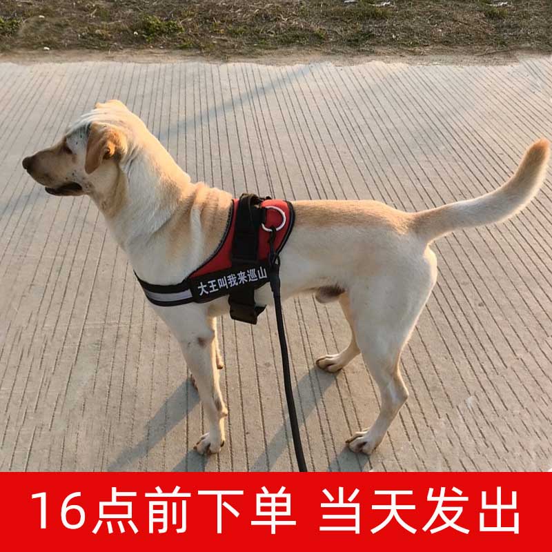 K9狗狗牵引绳胸背带小型犬中大型犬泰迪金毛拉布拉多宠物遛狗绳子 - 图1