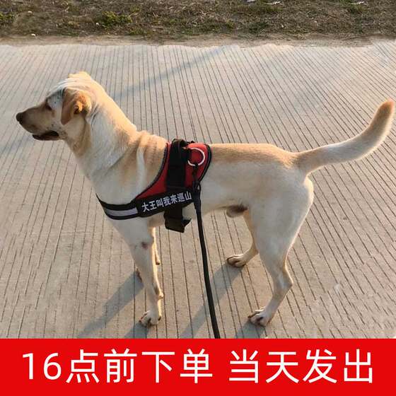 Dog leash harness free customized word plate