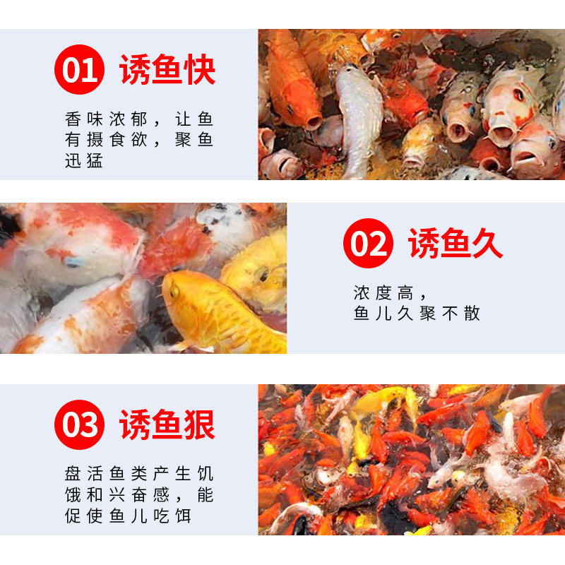 钓鱼王麝香液水王钓鱼小药野钓通杀秋冬季玉米香精泡米打底窝料,淘宝优惠券,粉丝福利购,淘宝优惠卷