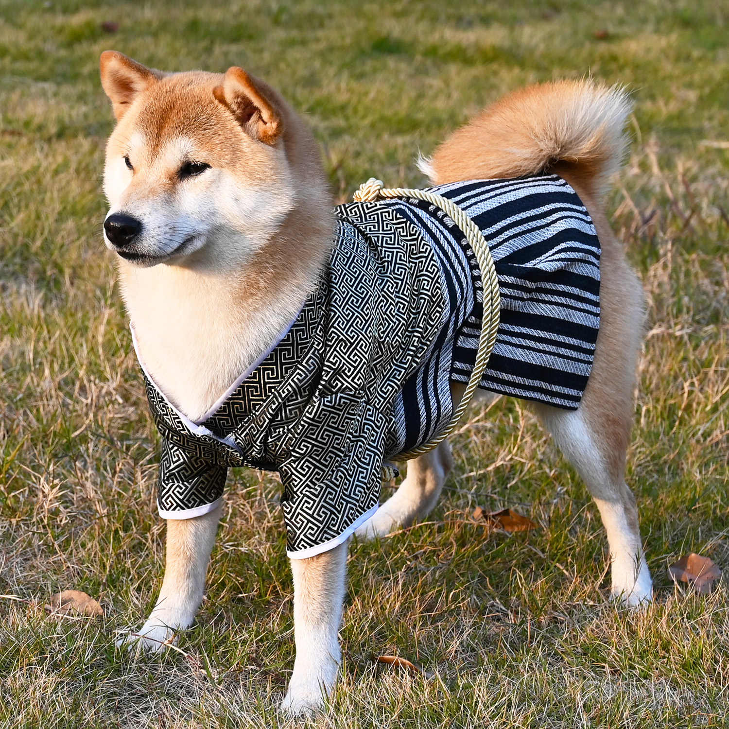 ペット着物 猫 犬の服 正月 艶やか 晴れ着 ドッグウェア かわいい 猫の服 ペットウェア 服 着物 犬