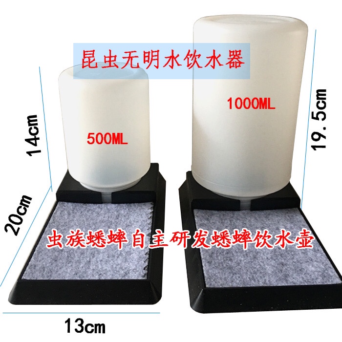 蟋蟀饮水器防溺针头蛐蛐活物活体饲料蝎子杜比亚昆虫喝水盆盂水壶 - 图0