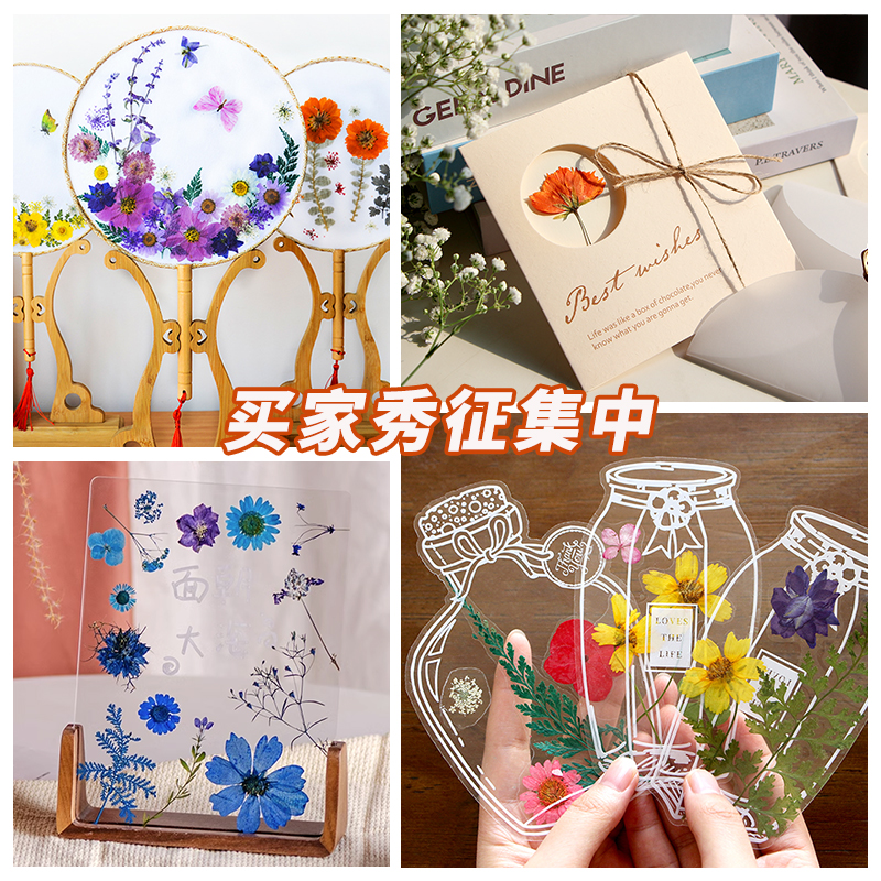 干花真花diy材料玫瑰干花滴胶手机壳手工团扇贺卡书签压花树叶-图1