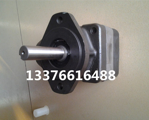 SV20-1P11P-1A油泵V20-1P13P-1A威格士型液压泵SV20-1P9P-1A - 图1