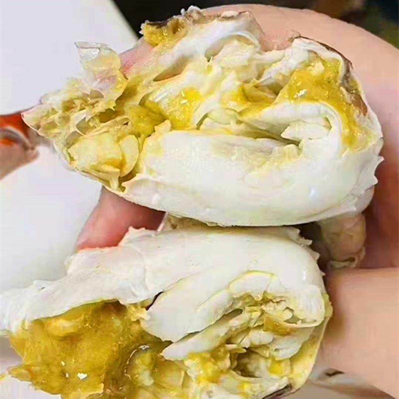 3-9两/只北京闪送活梭子蟹海蟹大白蟹飞蟹满肉公螃蟹海鲜水产,淘宝优惠券,粉丝福利购,淘宝优惠卷