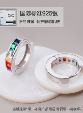 高级感仿彩宝石纯银耳圈耳环