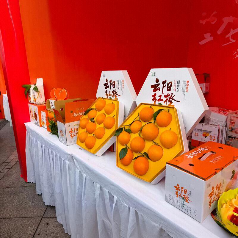 云阳红橙纽荷尔脐橙重庆现摘现发甜蜜广柑新鲜水果橙子10斤20斤,淘宝优惠券,粉丝福利购,淘宝优惠卷