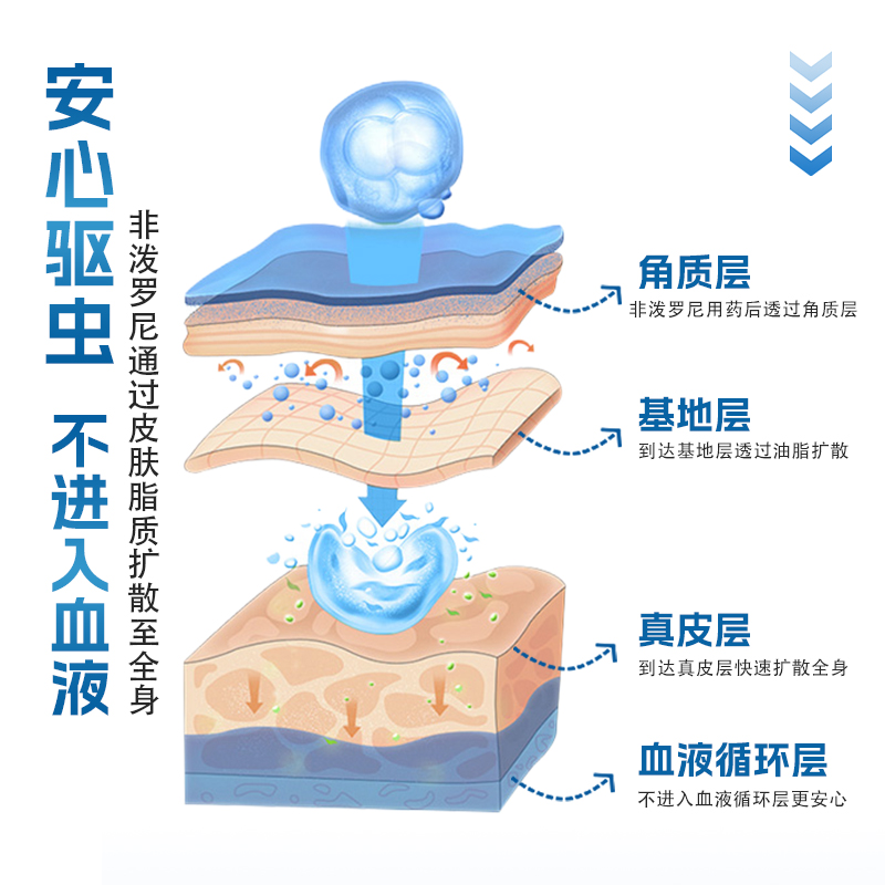 宠物狗狗驱虫药猫咪体内外一体驱虫跳蚤比熊泰迪蓝猫非泼罗尼滴剂 - 图1