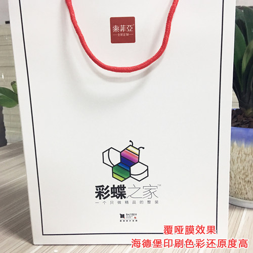 定制纸袋手提袋印LOGO礼品袋高档定做服装店袋子外卖打包袋包装袋 - 图2