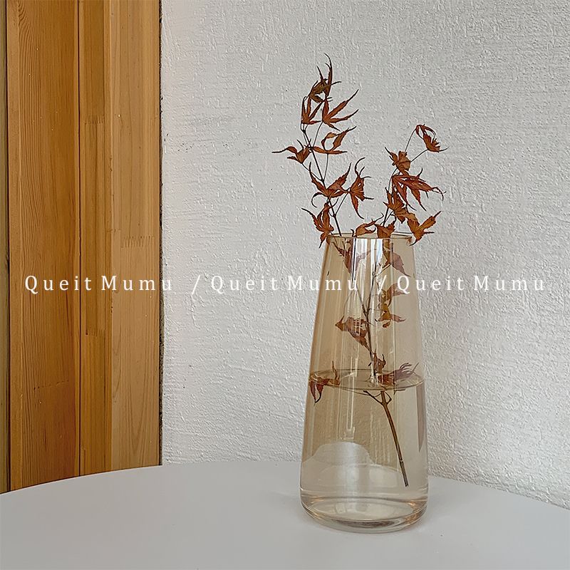 quiet mumu*ins风花瓶透明玻璃插花瓶水养鲜花网红高级感摆件花器 - 图1