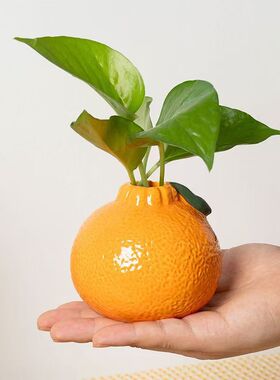 创意网红橘子陶瓷花瓶水养绿萝水培花瓶桌面办公室装饰摆件