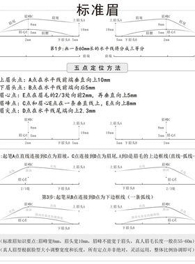 初学者练习册设计各种脸型画眉