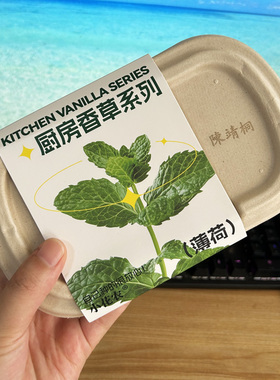 儿童蔬菜种植小盆栽种子幼儿园植物生长观察实验套装玩具伴手礼