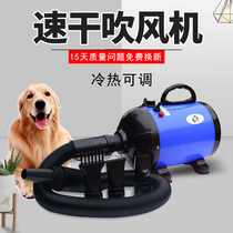 Pet Hair Dryer Large Small And Medium Dog Home Dog Kitty Supplies Dogs Special Drying Blown Hair God Blow Water