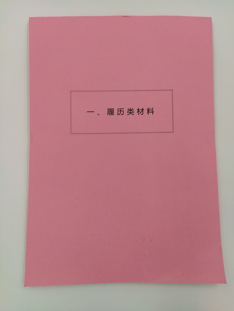 50套装全彩A4干部人事档案十大类分类纸隔页纸索引纸80克分页纸 - 图3