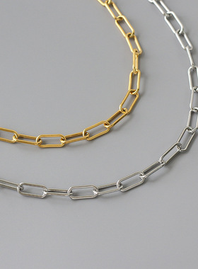 欧美百搭钛钢金银色粗链条