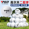 PGM Golf second-tier game ball comes with aiming line