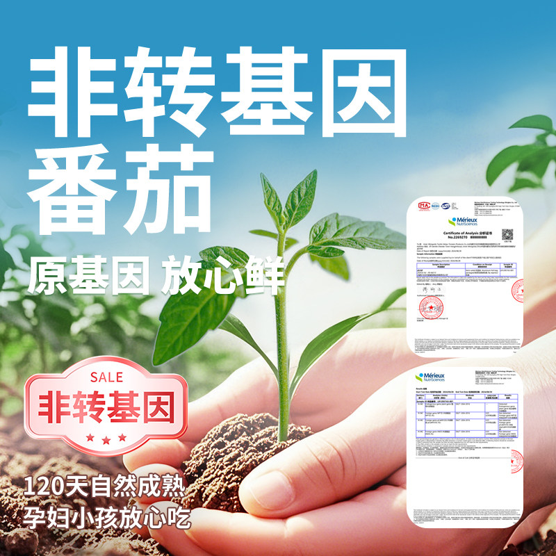 【李佳琦年货零食节】中粮屯河罐头火锅新疆内蒙番茄酱198g*4罐