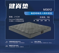 Gu Leu Sleeping Series Mattresses-Net Sleeping Mat M3011A