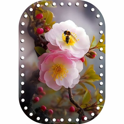 (拍六送一)兰馨家小椭圆印花亚克力板3.2毫米编织筐底 - 图3