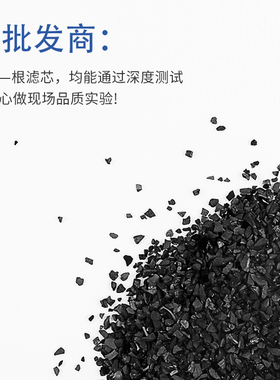 沁园净水器通用滤芯3863403a/c