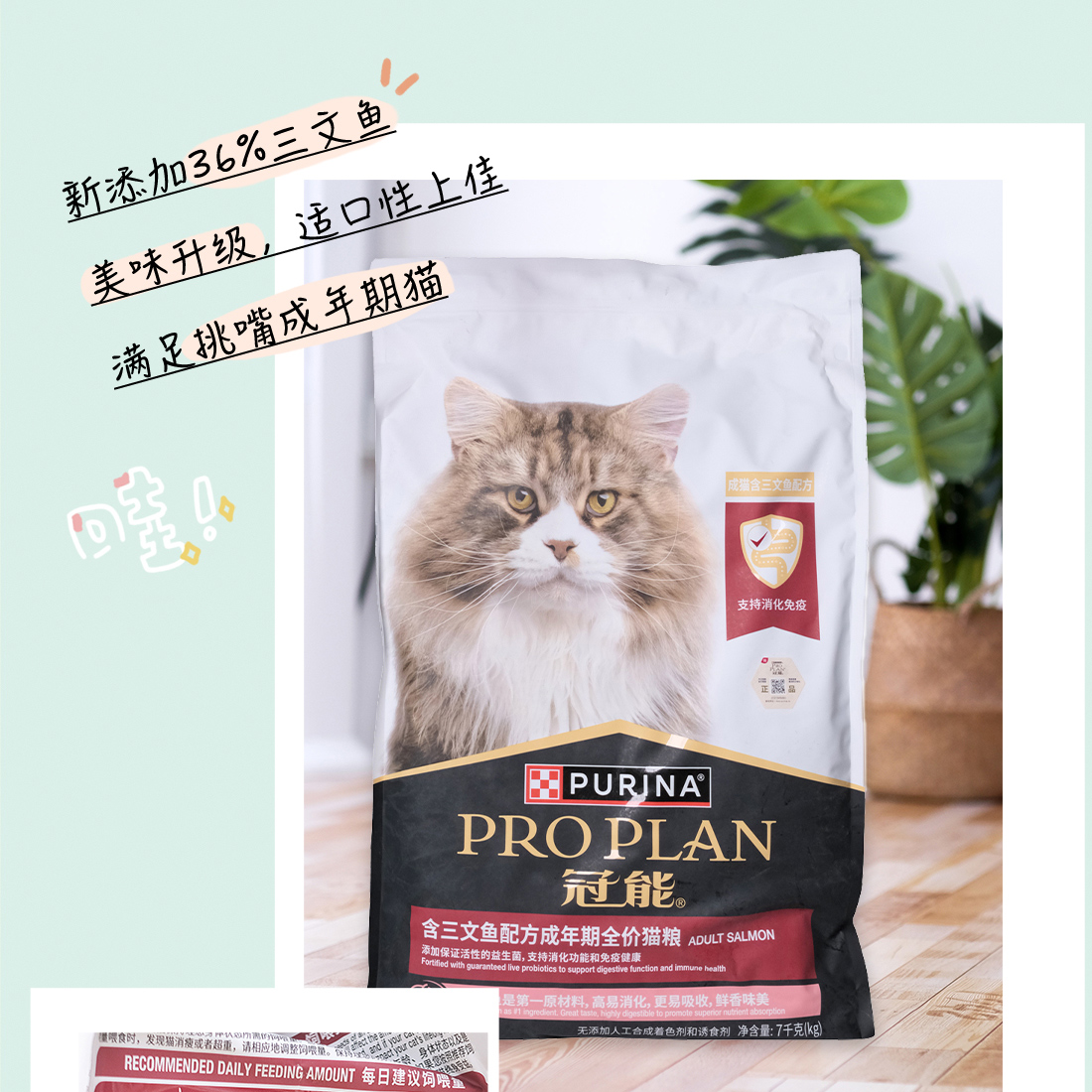 冠能猫粮成猫粮幼猫粮7kg5.5kg猫粮1-12月奶猫怀孕哺乳期发腮奶糕 - 图2