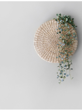 北欧INS壁饰植物墙挂藤