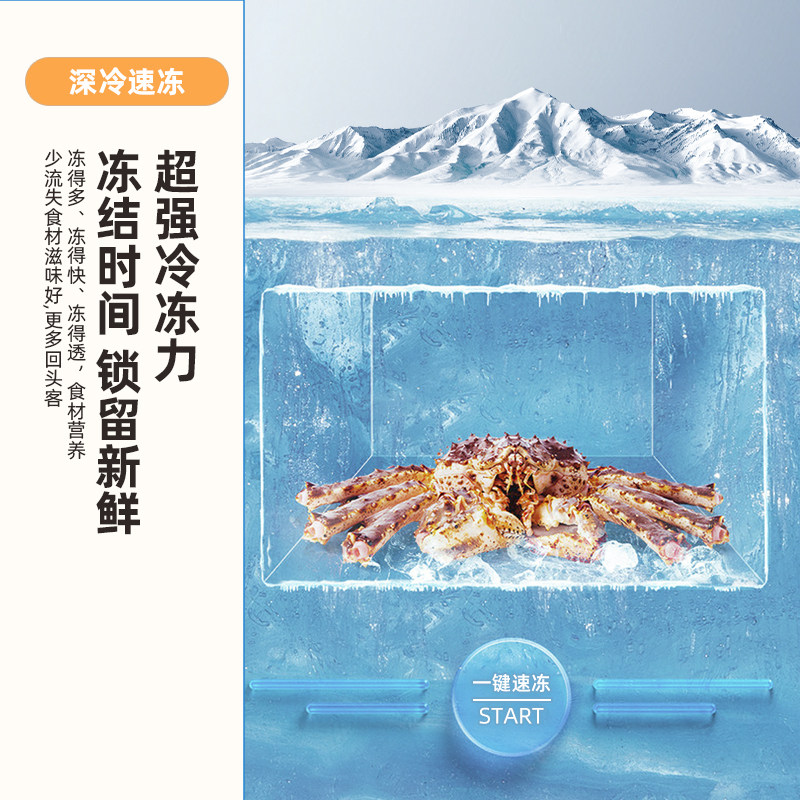 新飞143升立式单门单温家用冷柜 新飞冷柜