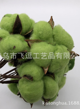 手工单支彩色棉花干花 棉花永生花束 婚庆干花家居装饰摆设