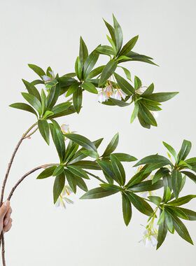 高端仿真水石榕植物绿植酒店客厅家居室内创意装饰桌面摆件