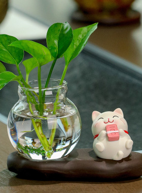 水培招财猫摆件绿萝办公室桌面装饰 新手好养绿植 工位解压小物件