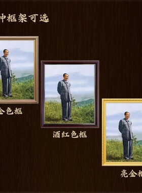 毛爷爷庐山站像画像带框纪念像