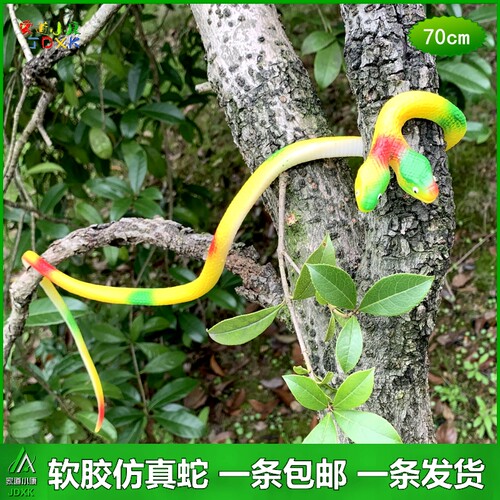 儿童玩具蛇软胶蛇双头蛇仿真蛇两头蛇假蛇眼镜蛇吓人橡胶动物模型 - 图2