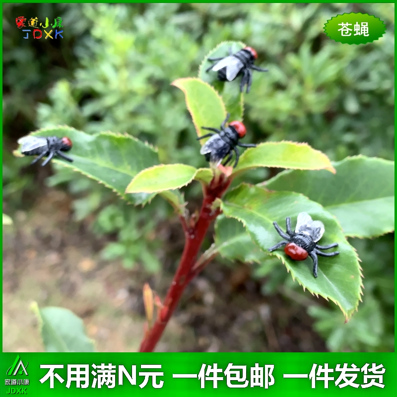 仿真迷你小蛇苍蝇蜘蛛蚂蚁套装幼儿园儿童玩具蛇动物昆虫动物模型 - 图2