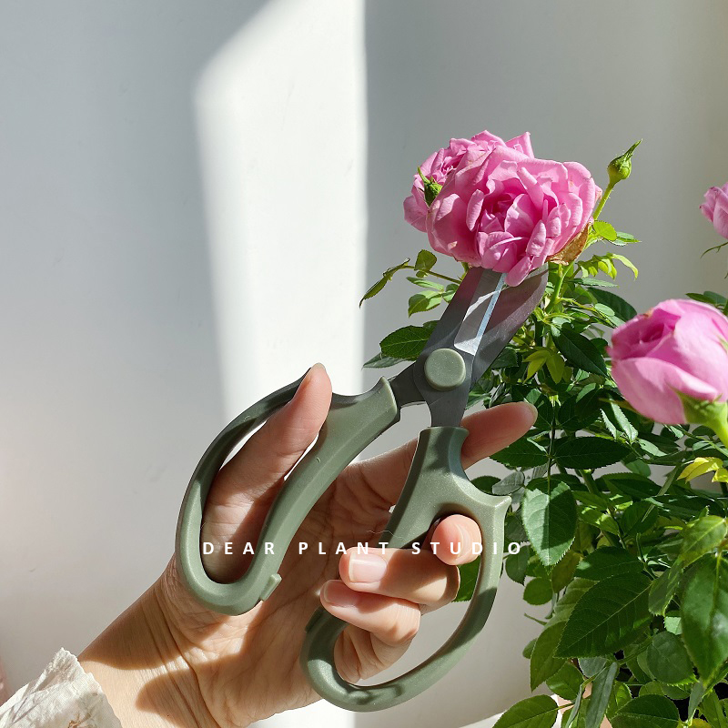 花园园艺花艺小剪刀枝剪鲜花剪插花修枝专用工具家用花草宽头剪刀,淘宝优惠券,粉丝福利购,淘宝优惠卷