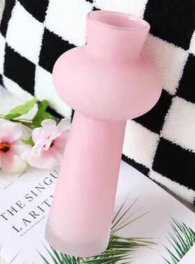 玻璃花瓶 ins风高颜值艺术摆件古风水培养鲜花创意高档中式摆件