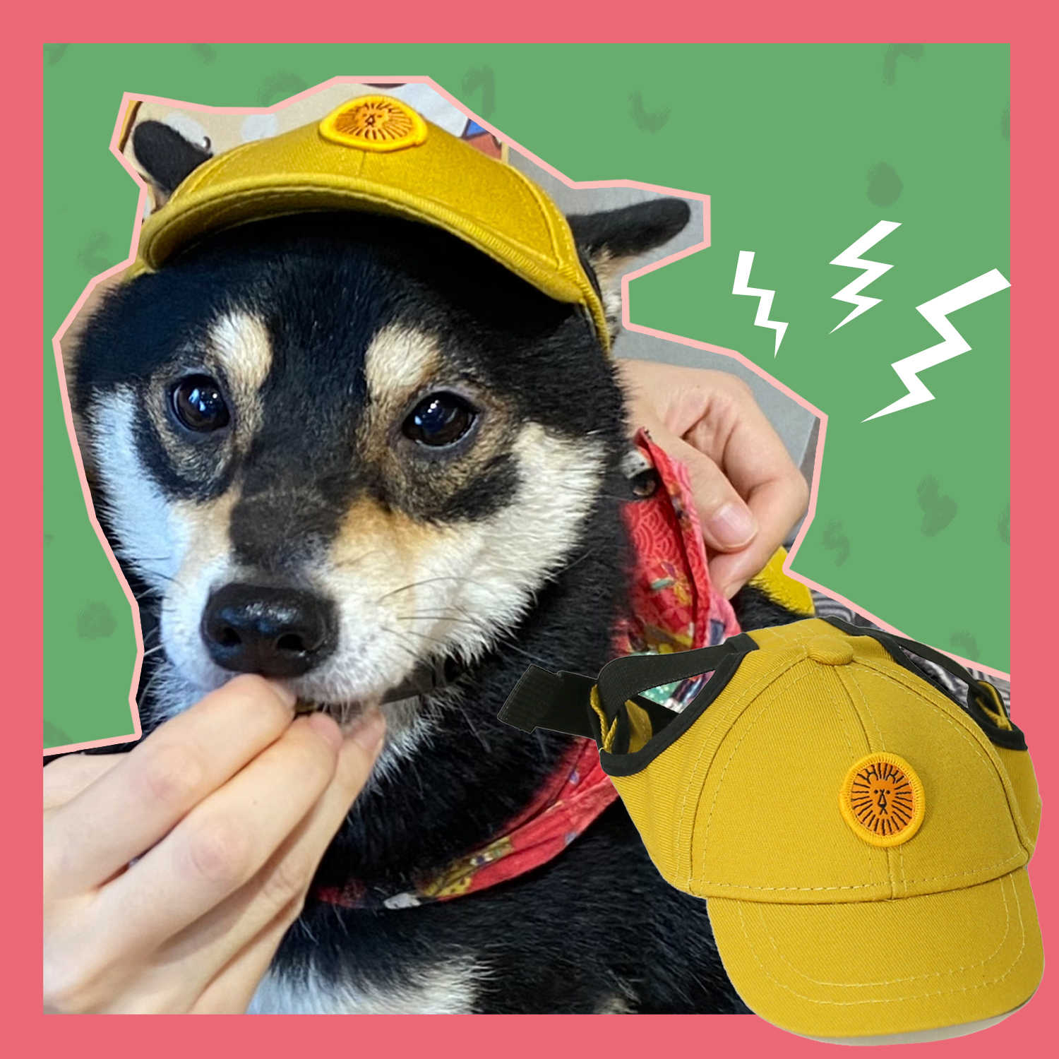 造型狗帽 新人首单立减十元 21年8月 淘宝海外