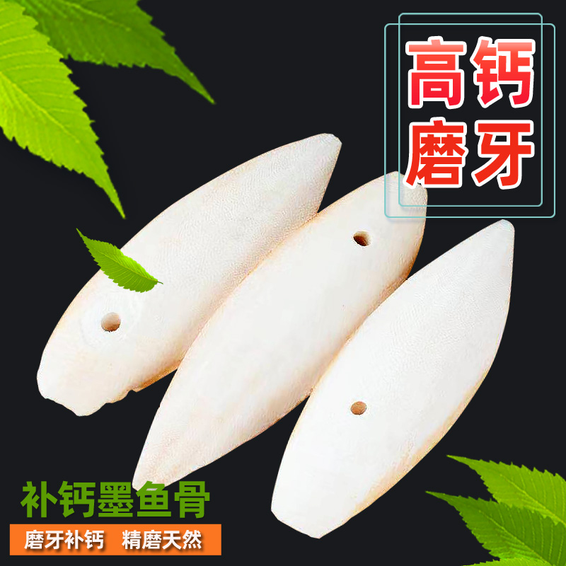 鹦鹉墨鱼骨补钙磨牙虎皮玄凤牡丹鸟食零食龟磨嘴吊串啃咬玩具用-图1