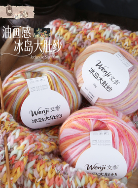Wenji文季冰岛大肚纱毛线50g油画感渐变色编织围巾饰品坐垫毛线