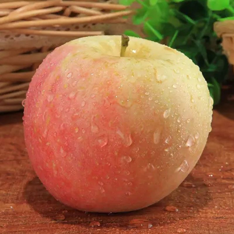 新鲜红富士苹果水果净重9斤包邮整箱丑平果山西脆甜非冰糖心萍果 - 图1